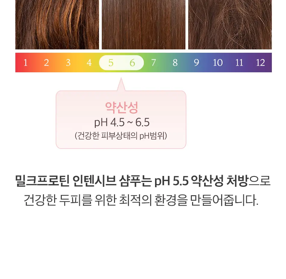 [초마드PICK] 오디드 밀크프로틴 인텐시브 퍼퓸샴푸 1000ml 4종 상세페이지 21